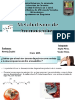 1metabolismodeaminoacidos 150801162139 Lva1 App6892