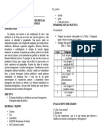 Practica de Quimica Nro01