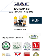 Programa SST