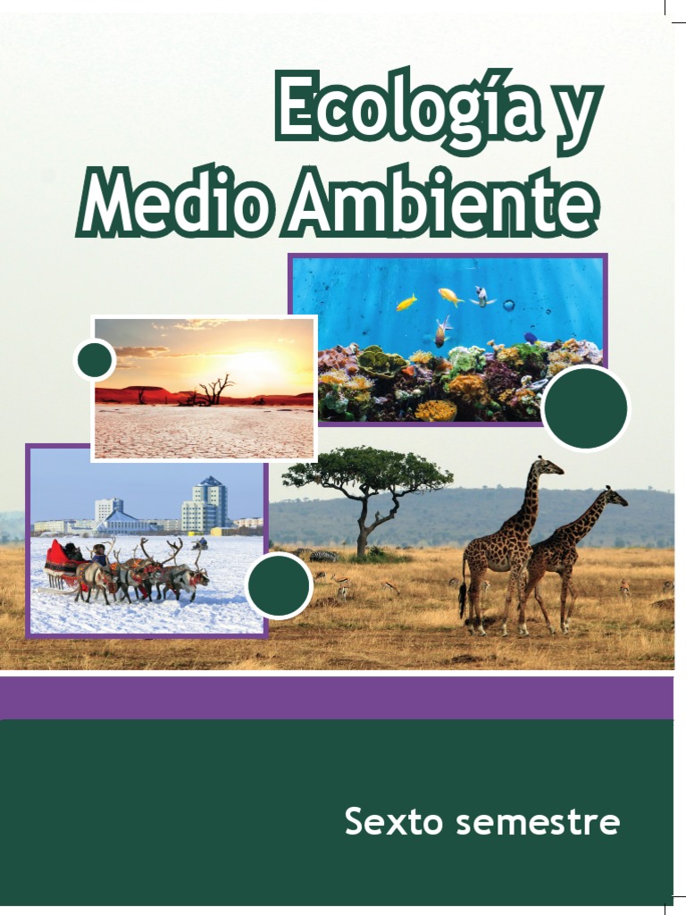 Ecologia y Medio Ambiente | PDF | Ecología | Desarrollo sostenible