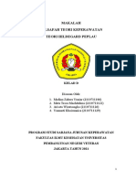 Makalah Peplau Kel 7