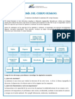 Actividad 1 Modulo II. AnatomiaAnatomía Del Cuerpo Humano - YOHAN - GARCIA