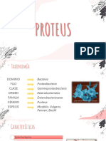 PROTEUS