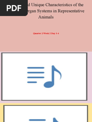 _General_and_Unique_Characteristics_of_the_Systems_in_Representative_Animals_Different_Or
