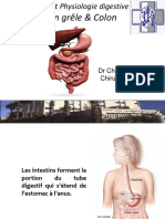 Anatomie et Physiologie Dig chap 3