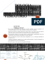 Metodologia para El Análisis Del Fenómeno Vibratorio