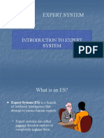 Introduction To Expert System