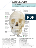 Dokumen - Tips Referat Craniul Curs Anatomie