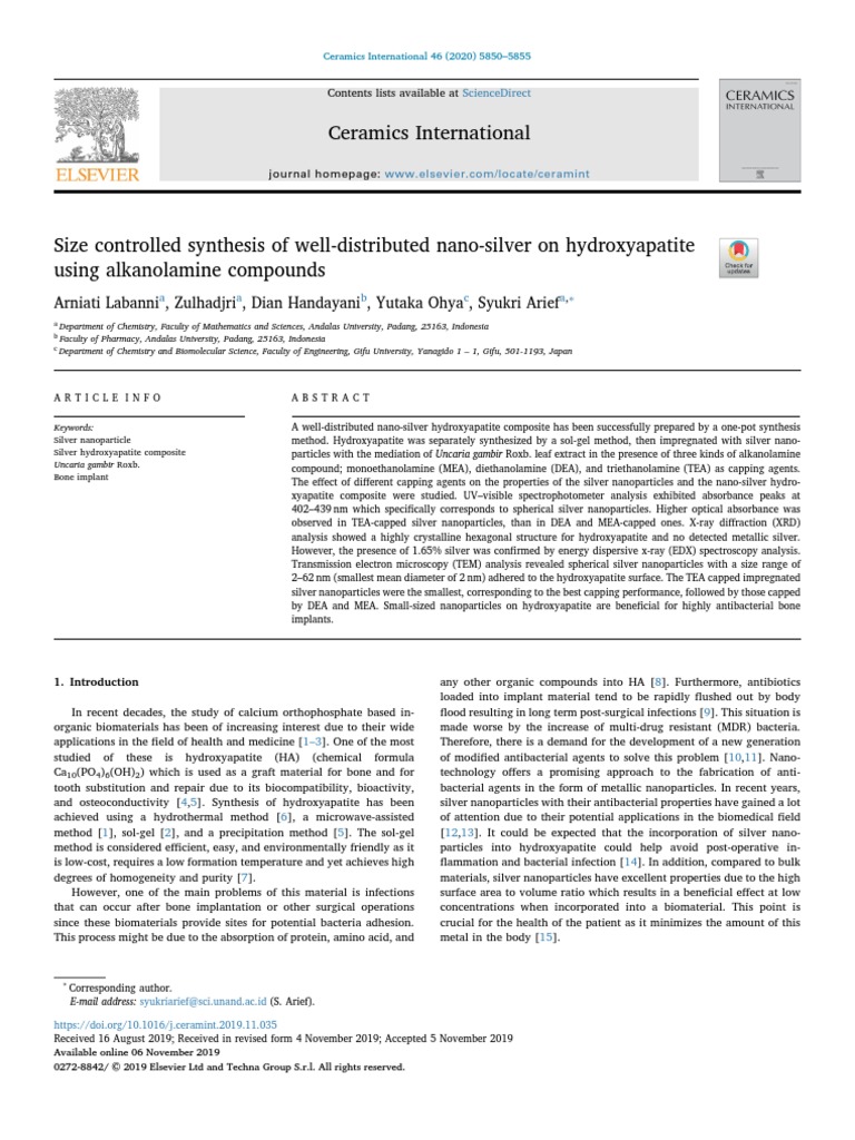 Labanni Et Al Ceramics Intern 2019 PDF Nanoparticle Silver