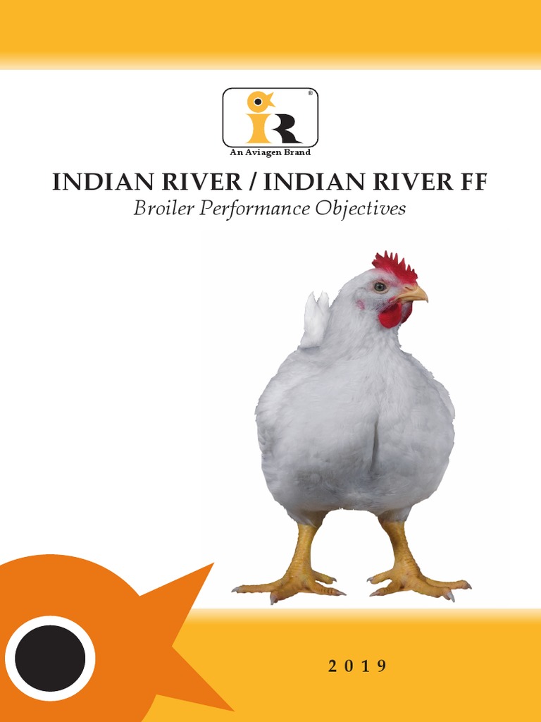 IR IRFF BroilerPerformanceObjective2019 EN PDF Broiler Chicken