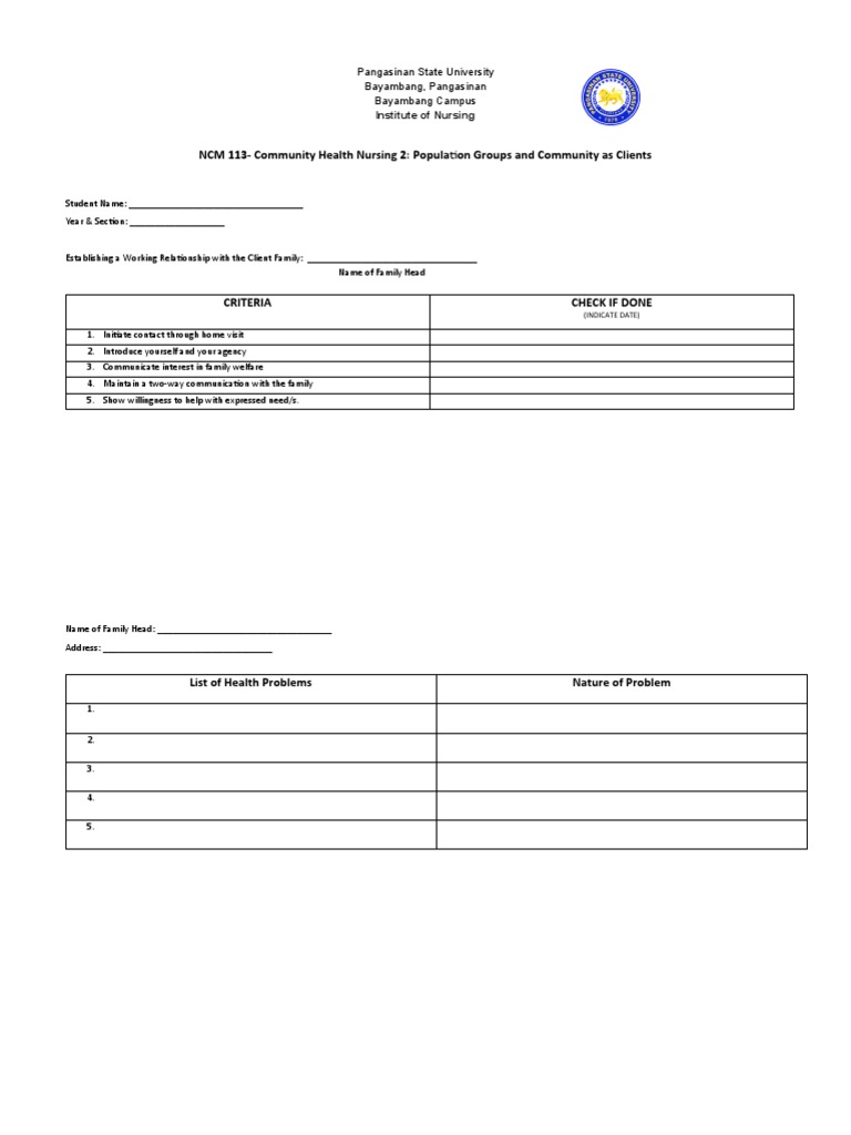 Family Health Assessment Template | PDF | Diabetes | Nursing