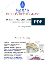 5.2 Central Nervous System