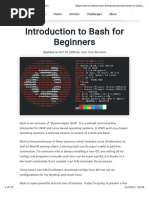 Introduction To Bash For Beginners