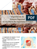 5. Sistema Digestivo