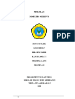 Diabetes Melitus KMB 2