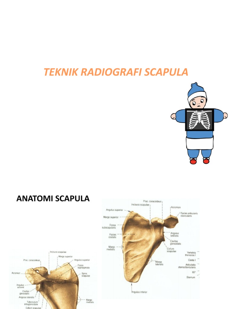 Teknik Pemeriksaan Radiografi Scapula | PDF