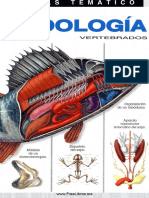 Luis Blas Aritio - Atlas Tematico de Zoologia Vertebrados (1996)
