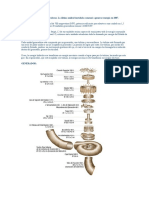 RESUMEN DE CONOCIMIENTOS ESPECIFICOS ITAIPU 2021 - Departamento Técnico