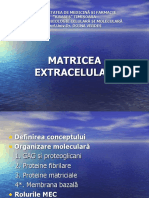 Matrice-Extracelularappt
