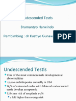 Undescended Testis Bramantyo Harwindo Pembimbing: DR Kustiyo Gunawan Spba (K)