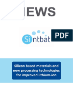 Sintbat_Newsletter_2nd_issue