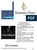 Sistema óseo: estructura, funciones y enfermedades del esqueleto humano