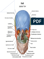 Atlas Netter PDF