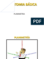 Anatomía básica planimetría