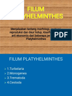 01 Platyhelminthes