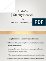 Lab-5-Staphylococci: BY Dr. Shnyar Hamid Qadir
