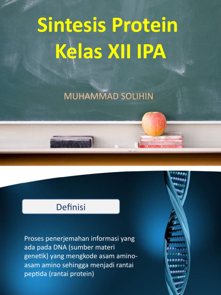 Sintesis Protein Kelas XII MIPA | PDF