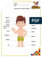 07 Modulo Corpo Humano