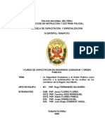 Trabajo Aplicativo Seguridad Ciudadana-2008