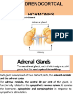 Adrenal Cortical Hormone