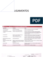 AULA 08 -  LIGAMENTOS.pptx