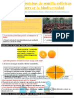 Cavero Guerreo Estrella 4B Matematica (28-11-2021)