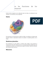 Cuáles Son Las Funciones de Los Organelos Celulares