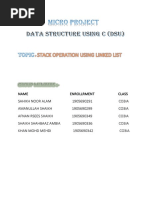 Dsu Micro Project