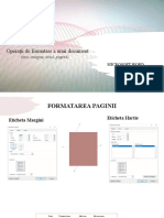 7 - Operatia de Formatare - Ms Word