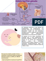 Diapos nutrición