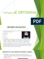 Ortonixia 2 
