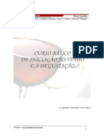 3010868 Curso Basico de Vinhos e Degustacao ENOLOGIA Ptbr