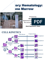 Bone Marrow Analysis