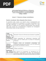 Anexo 5 - Resumen Enfoque Metodológico