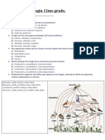 Examen de Biologia 11mo - Periodo 2