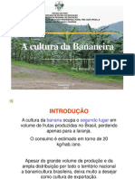 A Cultura da Bananeira no Piauí