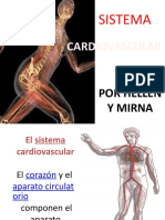 Sistema cardiovascular