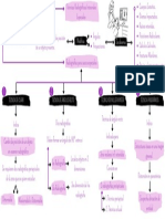 Esquema Radiografías Intraorales Especiales  