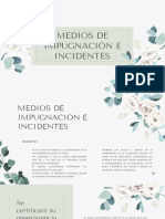 Medios de Impugnación e Incidentes