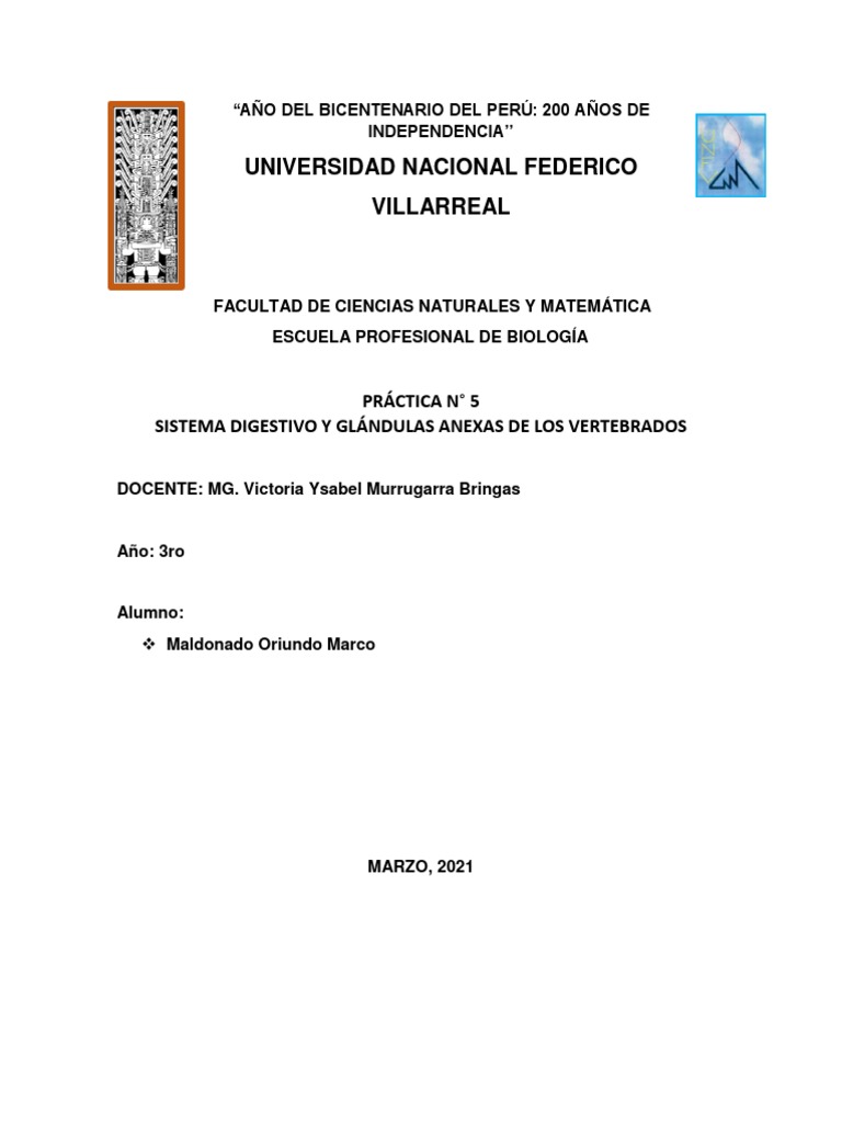 Sistema Digestivo Anatomia Descargar Gratis Pdf Estómago Sistema